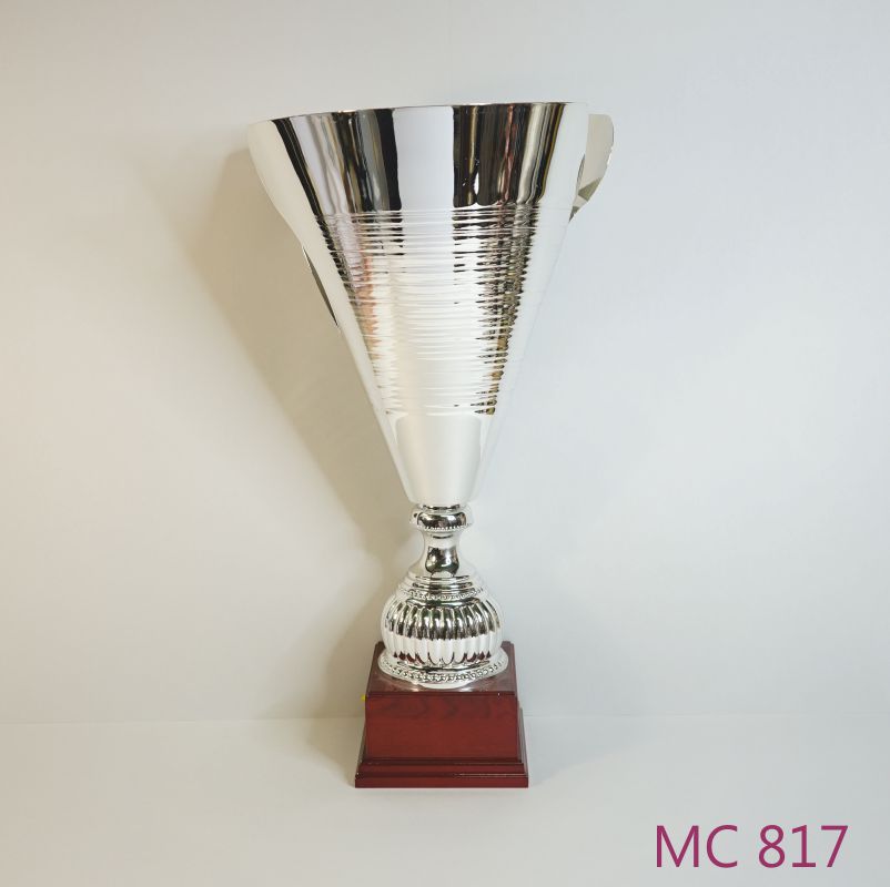 MC 817.jpg